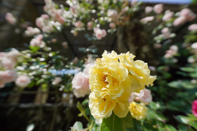 Территория